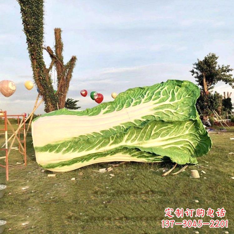 漳州新鲜白菜“精致生活”系列