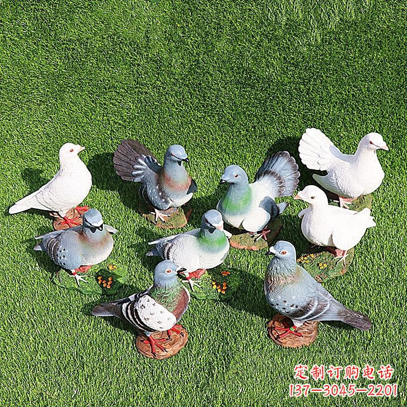 漳州和平鸽毕加索激发的美好灵感