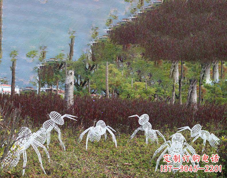 漳州不锈钢蚂蚁镂空雕塑艺术与自然的完美结合