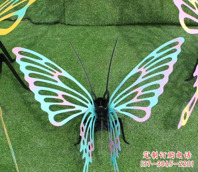 漳州彩色不锈钢镂空蝴蝶雕塑精美又充满生机