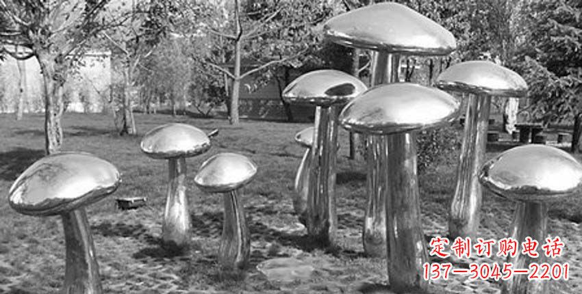 漳州萌芽之美,蘑菇景观雕塑