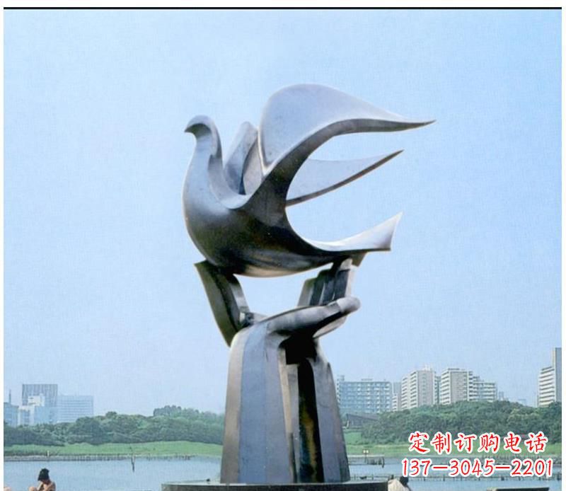 漳州静谧之鸽,传递和平象征~