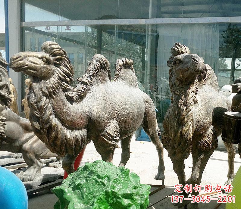 漳州公园骆驼动物铜雕 (2)