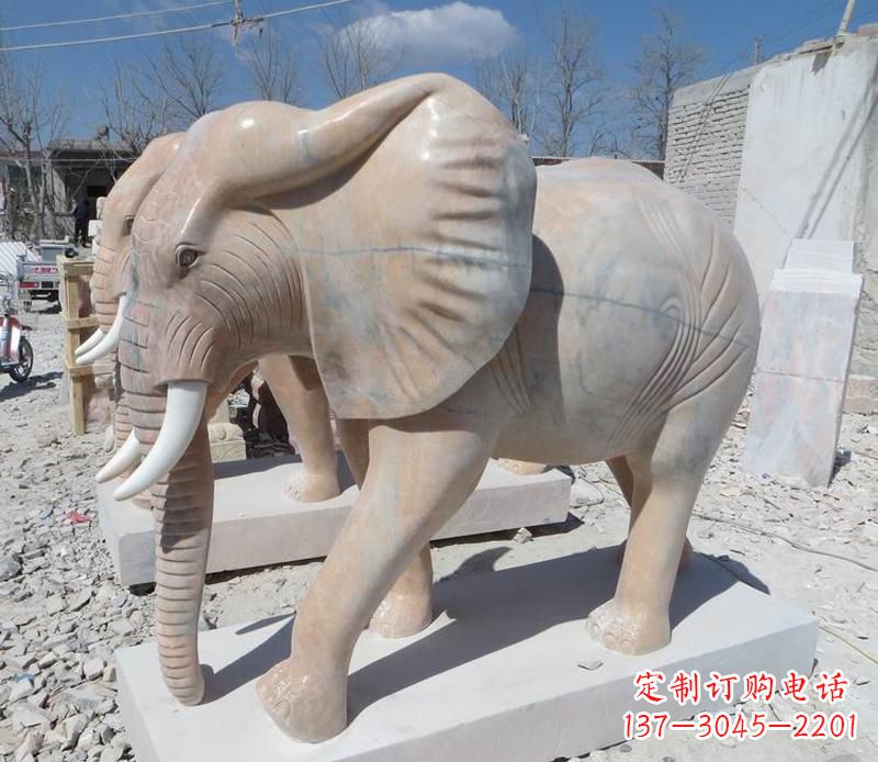 漳州晚霞红卷鼻大象